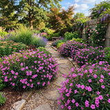 6 Pink Petunia Live Plants, Patio Container Plant, 5-7 Inch Tall